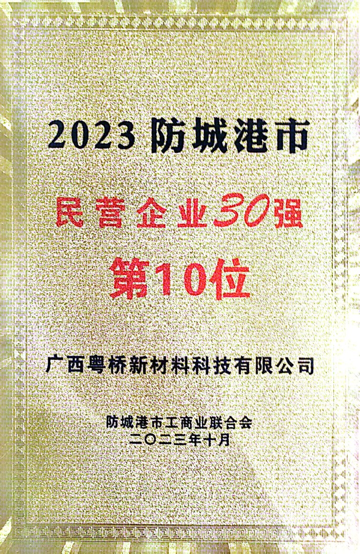 2023防城港民企30强第10位